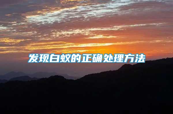發(fā)現(xiàn)白蟻的正確處理方法