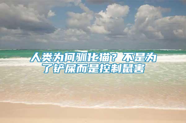 人類為何馴化貓？不是為了鏟屎而是控制鼠害