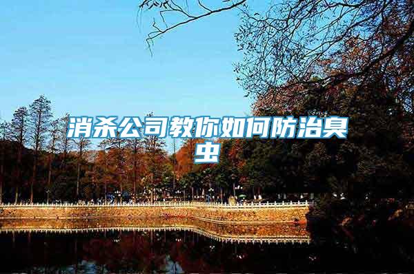 消殺公司教你如何防治臭蟲