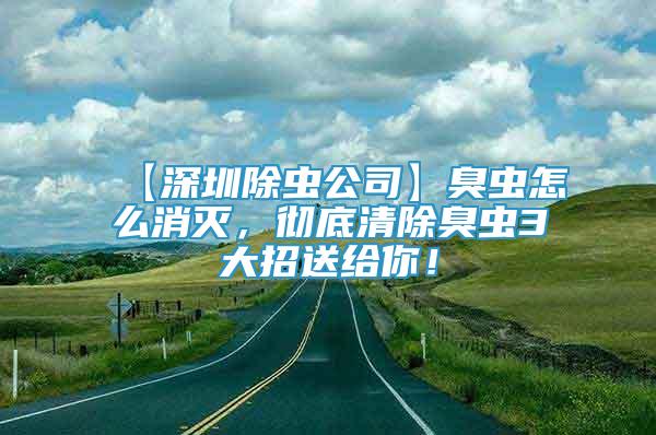 【深圳除蟲公司】臭蟲怎么消滅，徹底清除臭蟲3大招送給你！