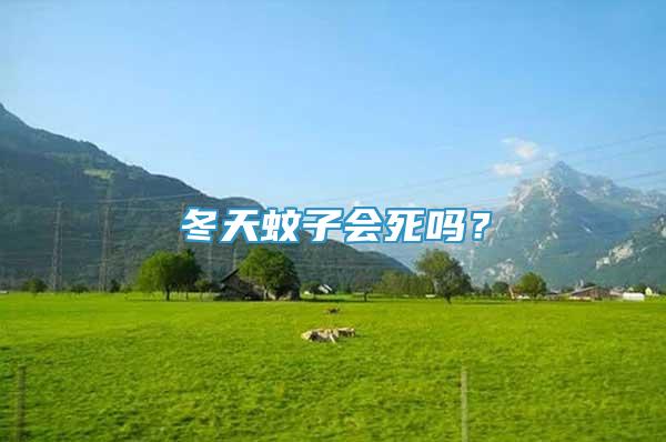 冬天蚊子會(huì)死嗎？