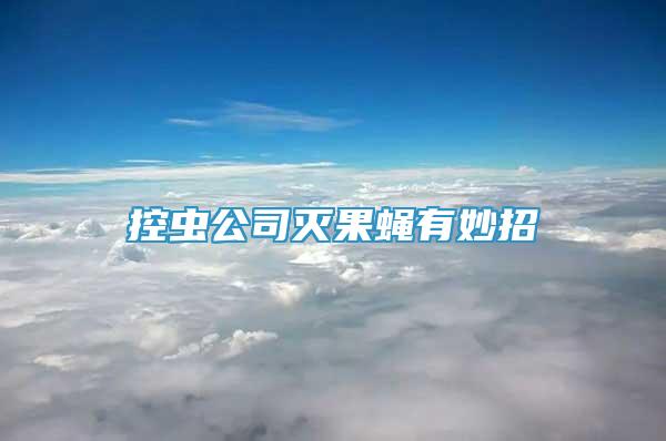 控蟲公司滅果蠅有妙招