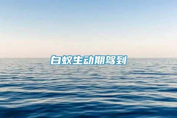白蟻生動期駕到