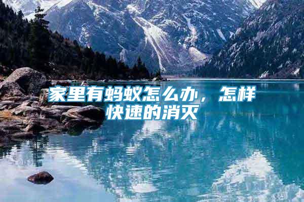 家里有螞蟻怎么辦，怎樣快速的消滅