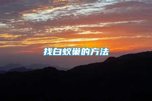 找白蟻巢的方法