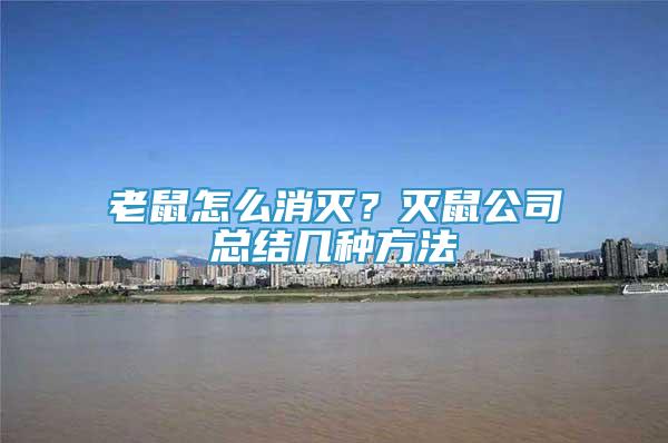 老鼠怎么消滅？滅鼠公司總結(jié)幾種方法