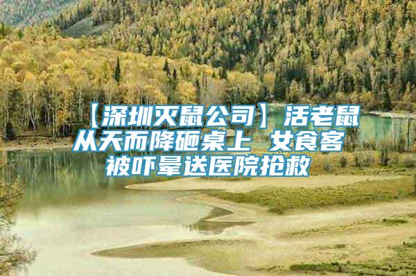 【深圳滅鼠公司】活老鼠從天而降砸桌上 女食客被嚇暈送醫(yī)院搶救