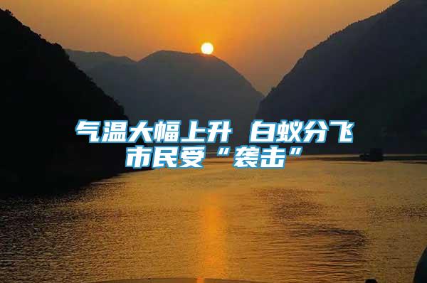 氣溫大幅上升 白蟻分飛市民受“襲擊”