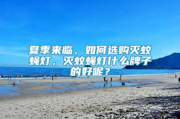 夏季來(lái)臨，如何選購(gòu)滅蚊蠅燈，滅蚊蠅燈什么牌子的好呢？