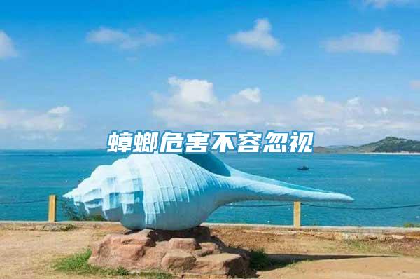 蟑螂危害不容忽視