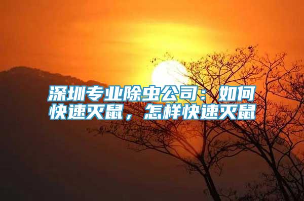 深圳專(zhuān)業(yè)除蟲(chóng)公司：如何快速滅鼠，怎樣快速滅鼠