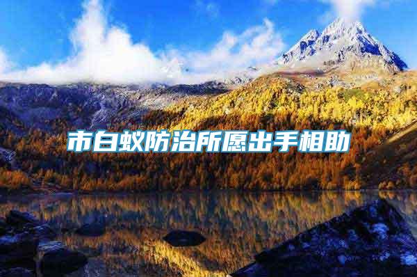 市白蟻防治所愿出手相助