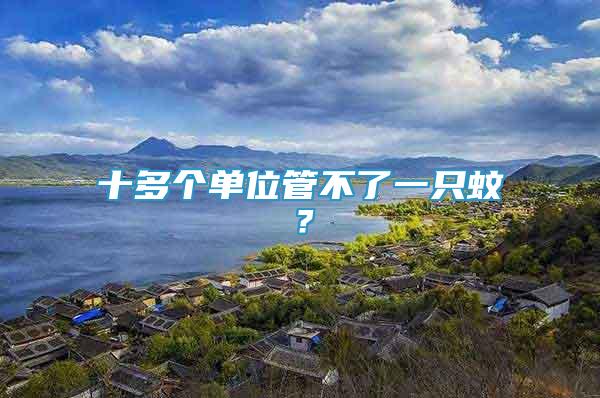 十多個(gè)單位管不了一只蚊？