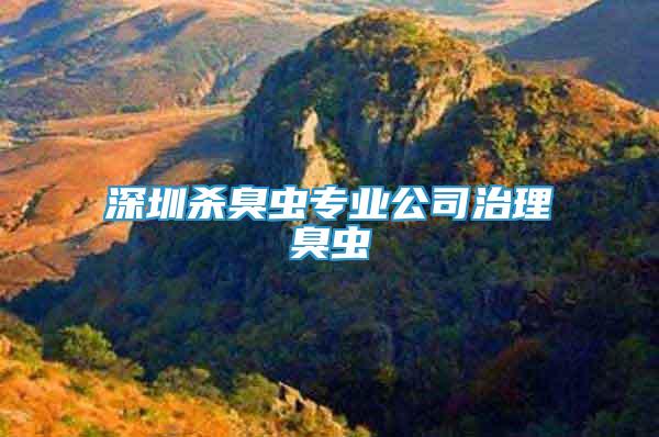 深圳殺臭蟲專業(yè)公司治理臭蟲