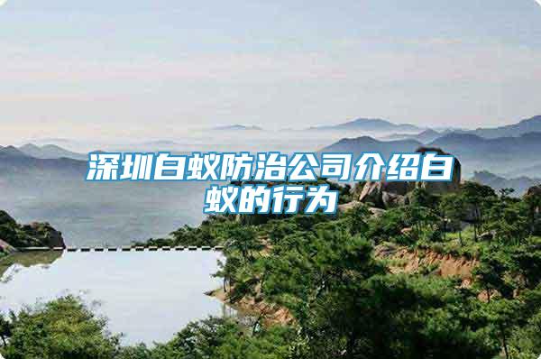 深圳白蟻防治公司介紹白蟻的行為