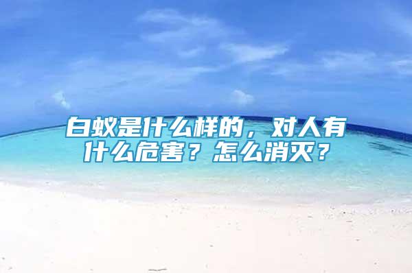 白蟻是什么樣的，對人有什么危害？怎么消滅？