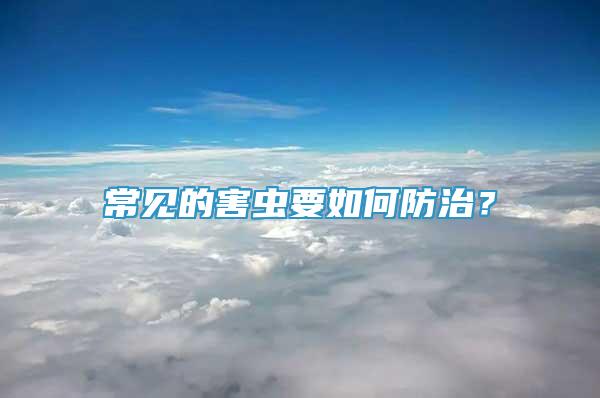 常見的害蟲要如何防治？