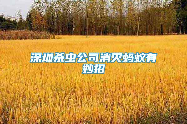 深圳殺蟲公司消滅螞蟻有妙招