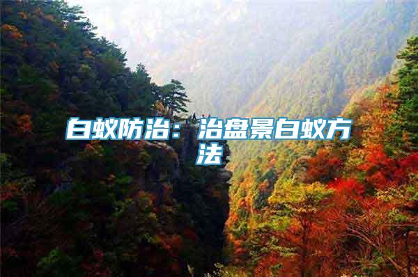 白蟻防治：治盤景白蟻方法