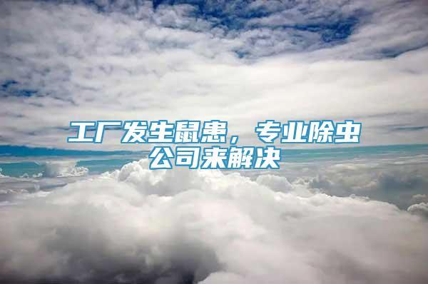工廠發(fā)生鼠患，專業(yè)除蟲公司來解決