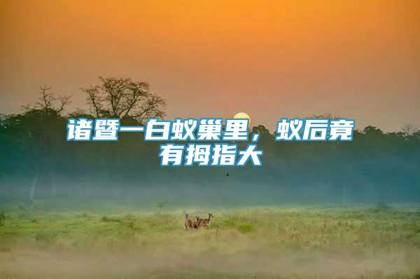諸暨一白蟻巢里，蟻后竟有拇指大