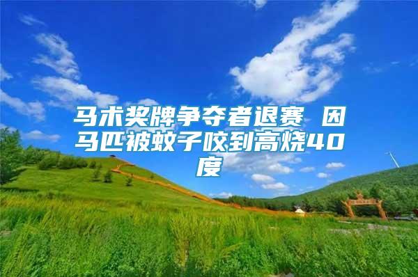 馬術(shù)獎牌爭奪者退賽 因馬匹被蚊子咬到高燒40度