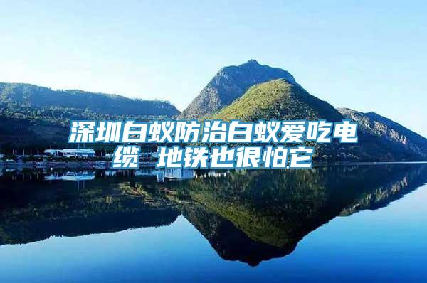 深圳白蟻防治白蟻愛(ài)吃電纜 地鐵也很怕它