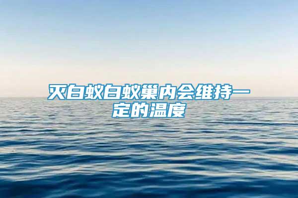 滅白蟻白蟻巢內會維持一定的溫度