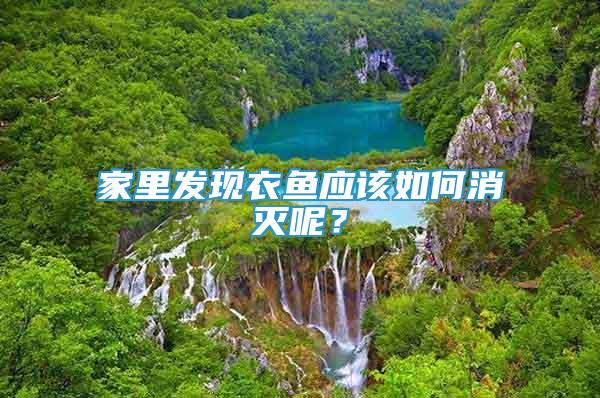 家里發(fā)現(xiàn)衣魚應(yīng)該如何消滅呢？