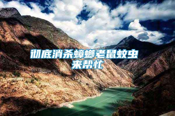 徹底消殺蟑螂老鼠蚊蟲 來幫忙