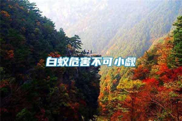 白蟻危害不可小覷