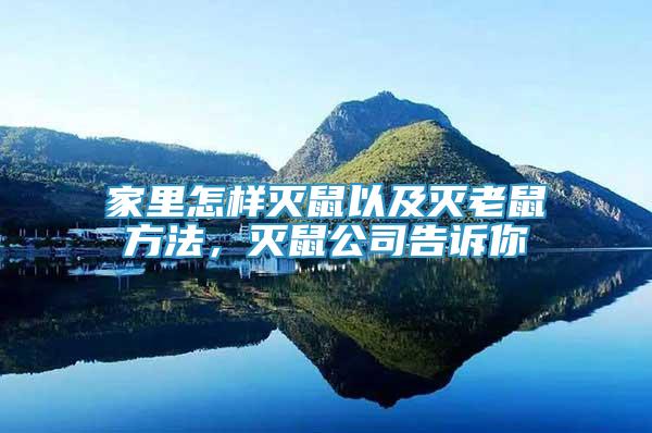 家里怎樣滅鼠以及滅老鼠方法，滅鼠公司告訴你
