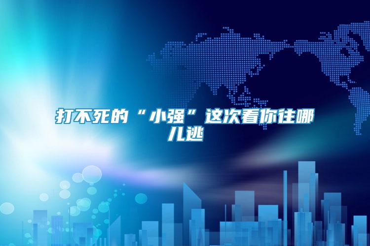 打不死的“小強(qiáng)”這次看你往哪兒逃