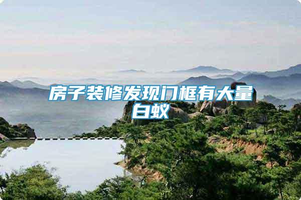 房子裝修發(fā)現(xiàn)門框有大量白蟻