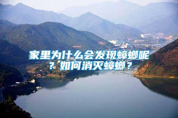 家里為什么會(huì)發(fā)現(xiàn)蟑螂呢？如何消滅蟑螂？