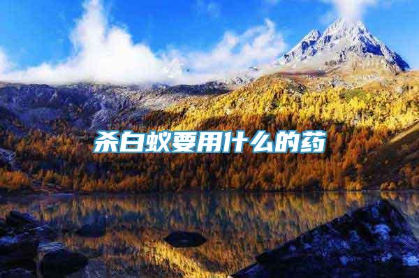 殺白蟻要用什么的藥