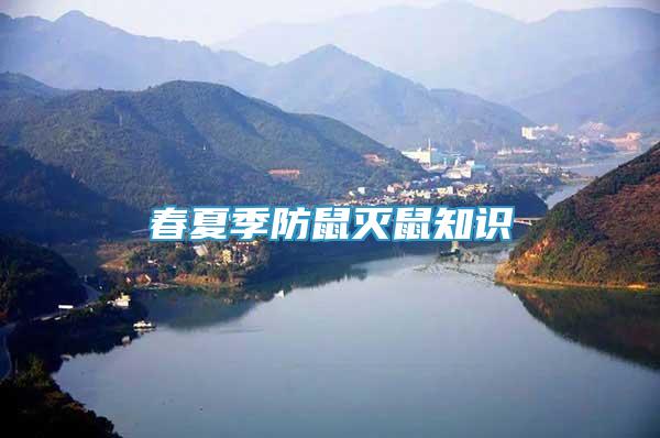 春夏季防鼠滅鼠知識