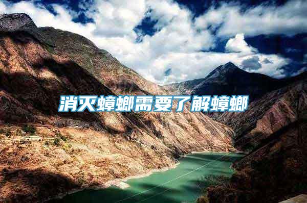 消滅蟑螂需要了解蟑螂