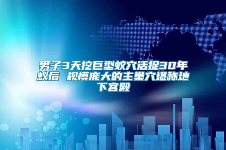 男子3天挖巨型蟻穴活捉30年蟻后 規(guī)模龐大的主巢穴堪稱地下宮殿