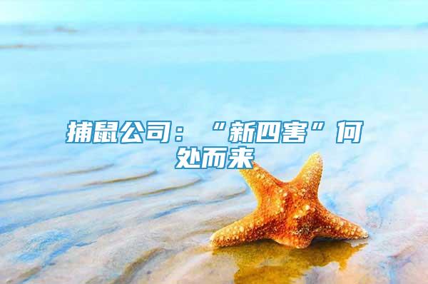 捕鼠公司：“新四害”何處而來