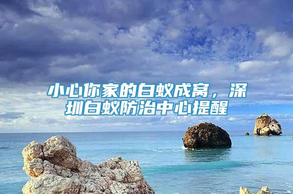 小心你家的白蟻成窩，深圳白蟻防治中心提醒