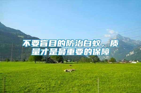 不要盲目的防治白蟻，質(zhì)量才是最重要的保障