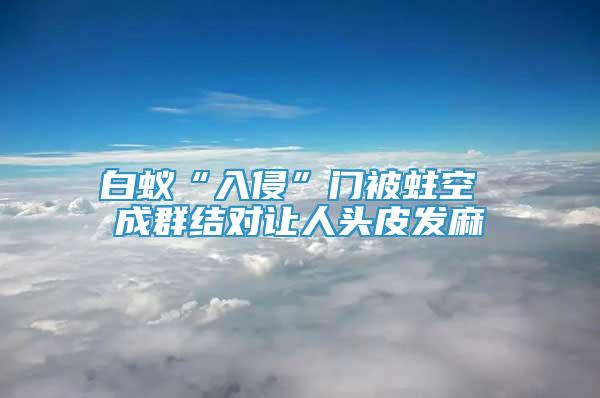 白蟻“入侵”門被蛀空 成群結(jié)對讓人頭皮發(fā)麻