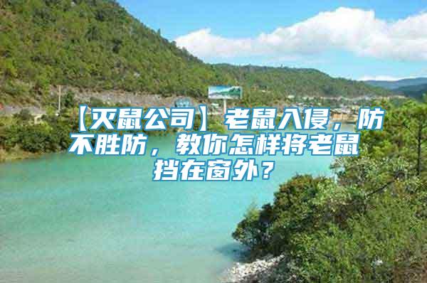 【滅鼠公司】老鼠入侵，防不勝防，教你怎樣將老鼠擋在窗外？
