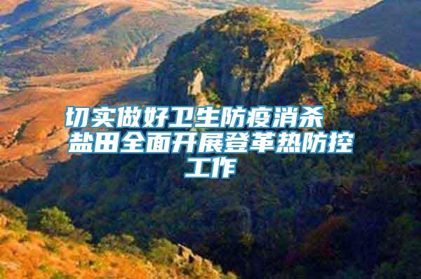 切實做好衛(wèi)生防疫消殺  鹽田全面開展登革熱防控工作