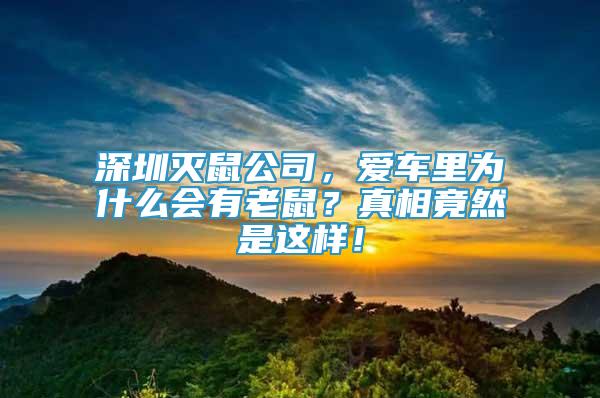 深圳滅鼠公司，愛車里為什么會有老鼠？真相竟然是這樣！