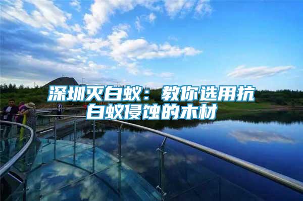 深圳滅白蟻：教你選用抗白蟻侵蝕的木材