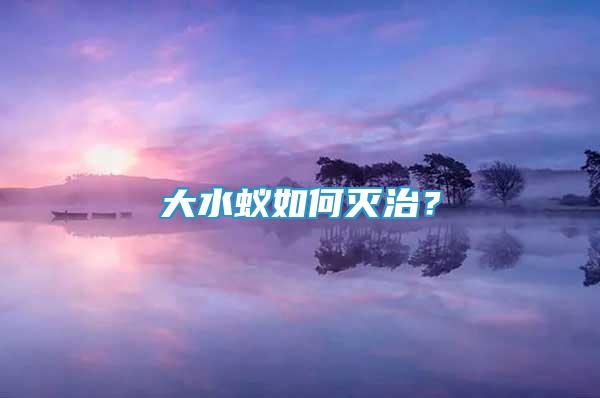 大水蟻如何滅治？