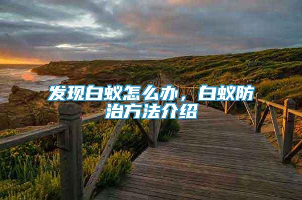 發(fā)現(xiàn)白蟻怎么辦，白蟻防治方法介紹