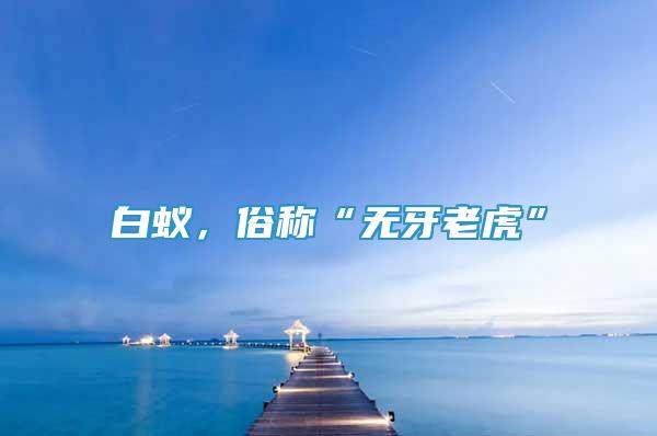 白蟻，俗稱“無牙老虎”